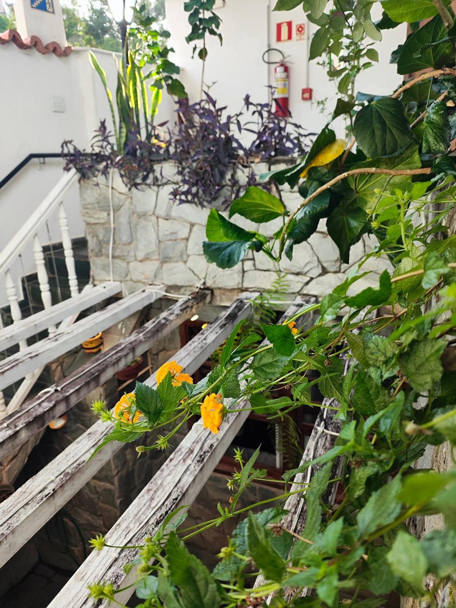 Flor De Lis Hotel