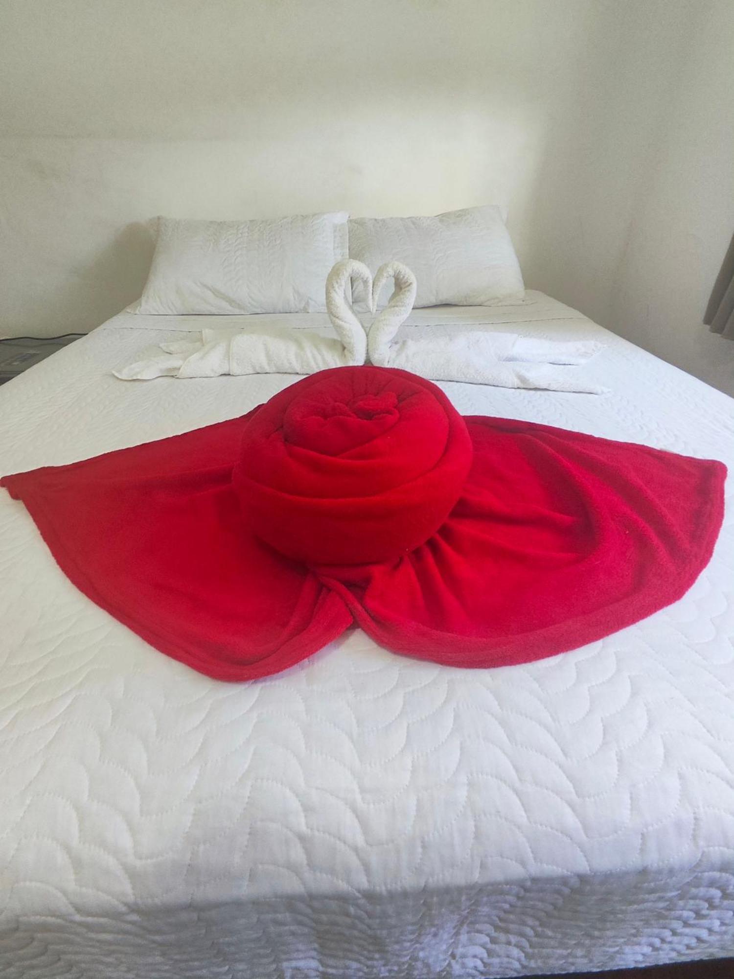 Flor De Lis Diamantina